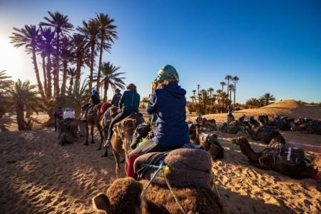 Half Day Marrakech Camel Trekking