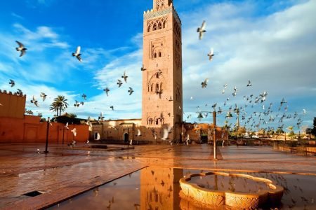Full day Marrakech guided city tour
