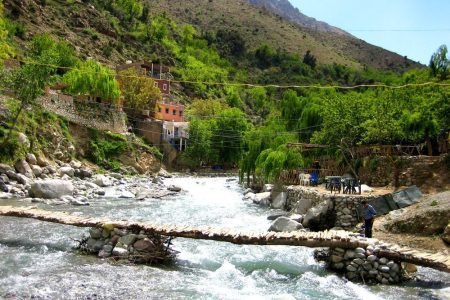 Private Day Trip To Ourika Valley – 1 Day